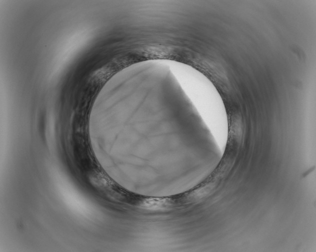 X0000111640526200908281200