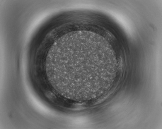 X0000111640527200908281200