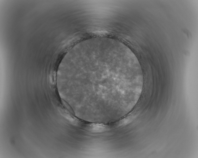 X0000111640528200908281200