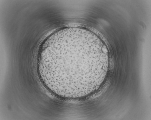 X0000111640529200908281159
