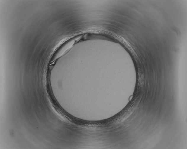 X0000111640530200908281159