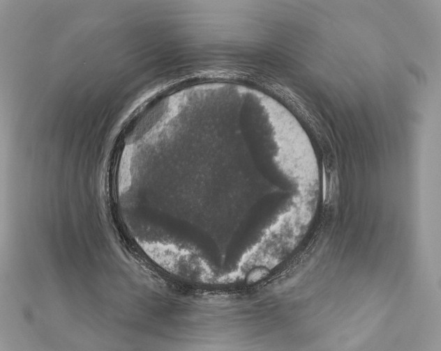 X0000111640531200908281159