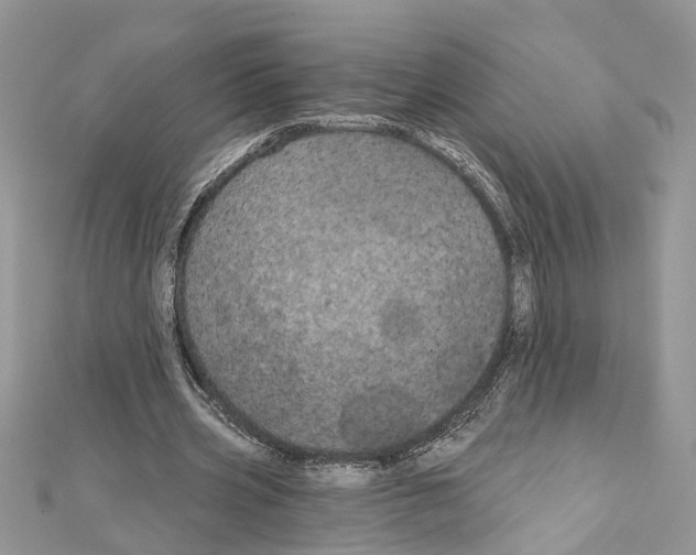 X0000111640533200908281159