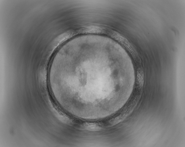 X0000111640534200908281159