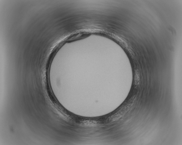 X0000111640535200908281159