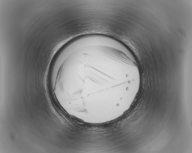 X0000111640536200908281159