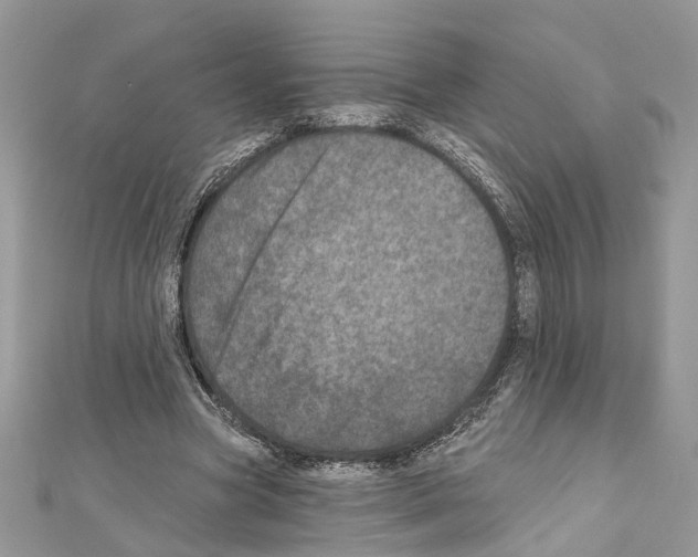 X0000111640537200908281159