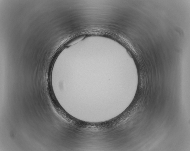 X0000111640538200908281159
