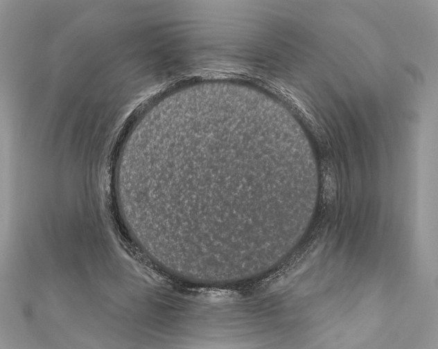 X0000111640539200908281159