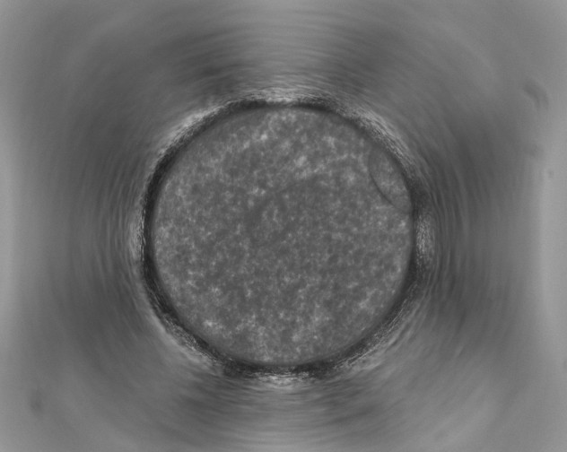 X0000111640540200908281159