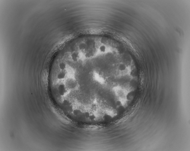 X0000111640542200908281159