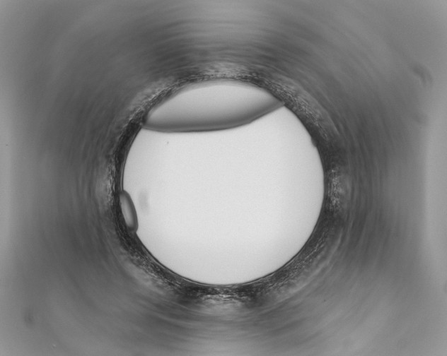 X0000111640544200908281159