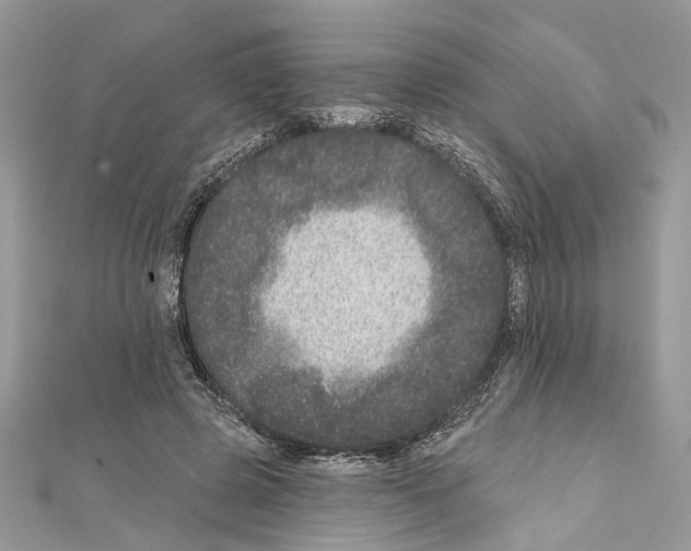 X0000111640545200908281159
