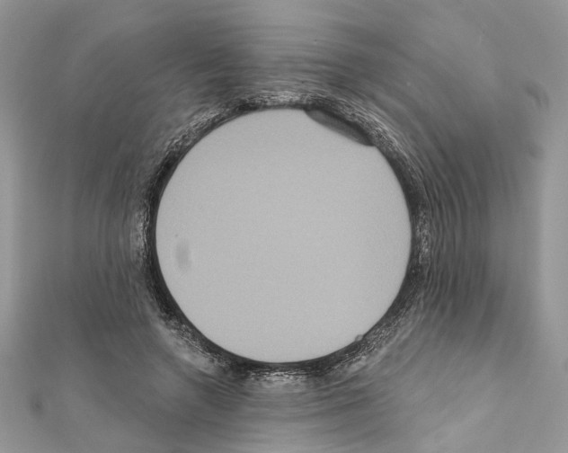 X0000111640546200908281159