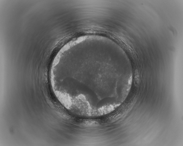 X0000111640547200908281159