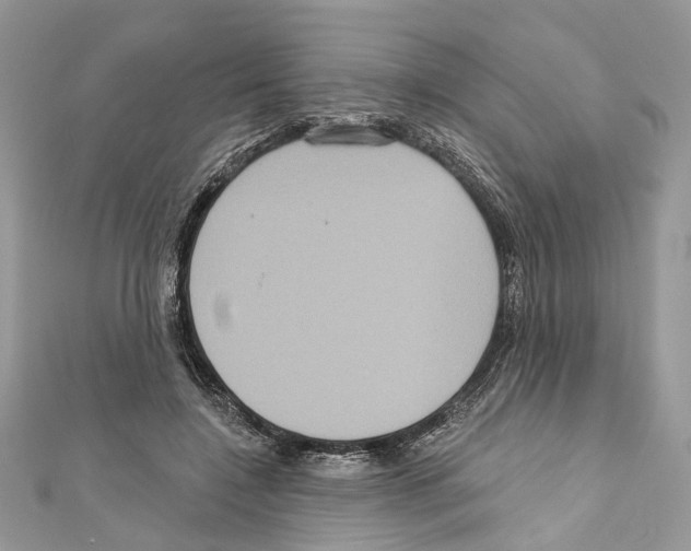 X0000111640548200908281159