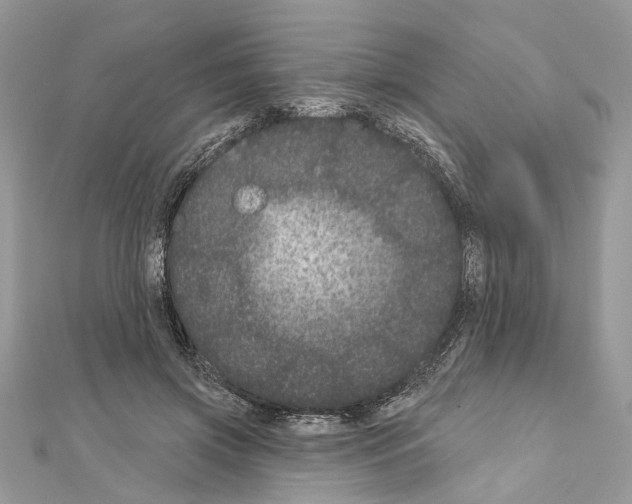 X0000111640549200908281159