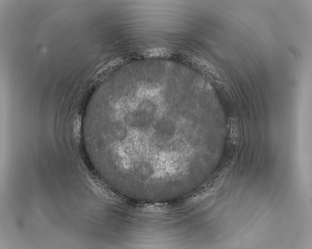 X0000111640550200908281159