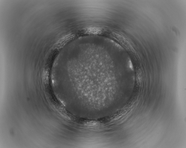 X0000111640551200908281200