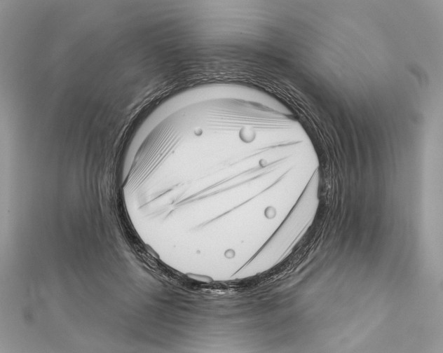 X0000111640552200908281200