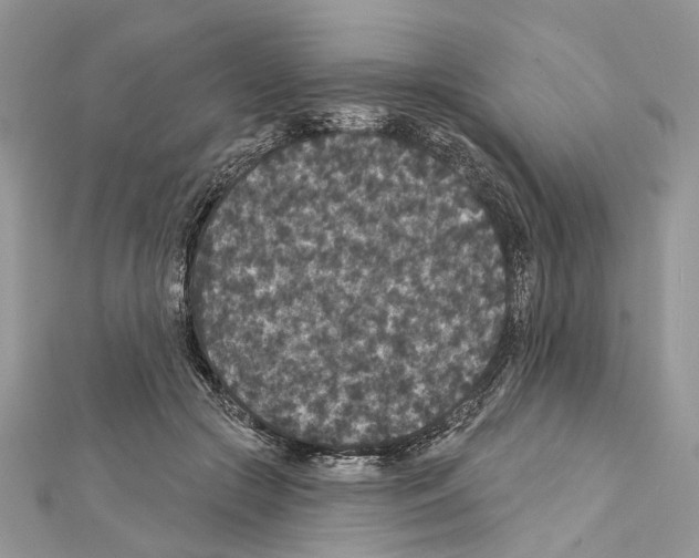 X0000111640553200908281200