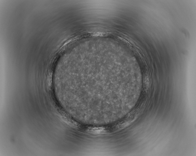 X0000111640554200908281200