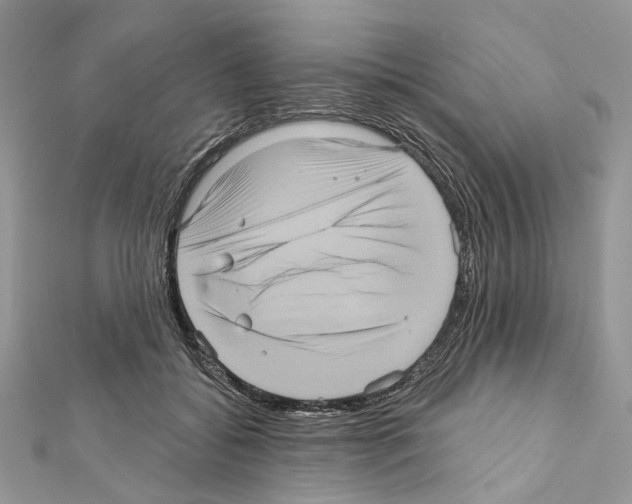 X0000111640556200908281200