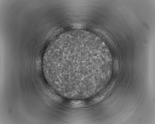 X0000111640557200908281200