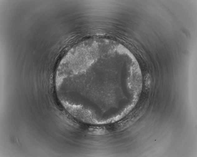 X0000111640559200908281200