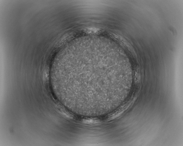X0000111640561200908281200