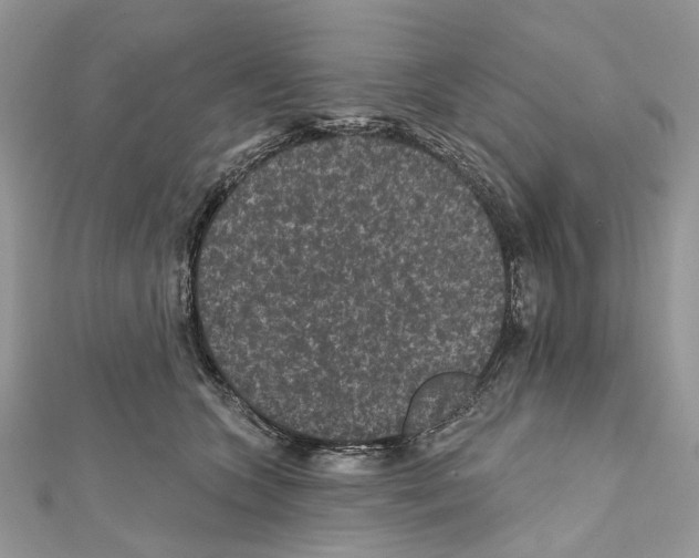 X0000111640563200908281200