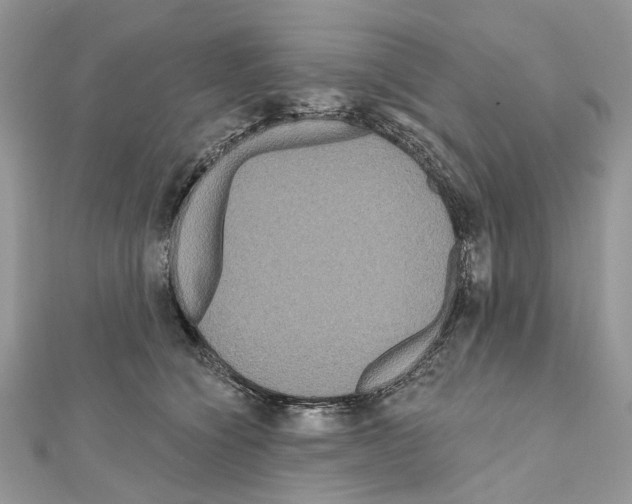 X0000111640564200908281200