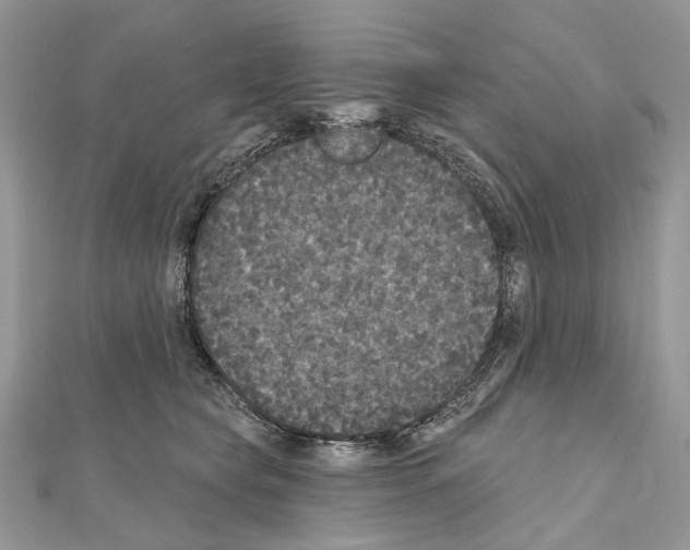 X0000111640565200908281200