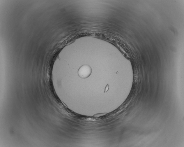 X0000111640566200908281200