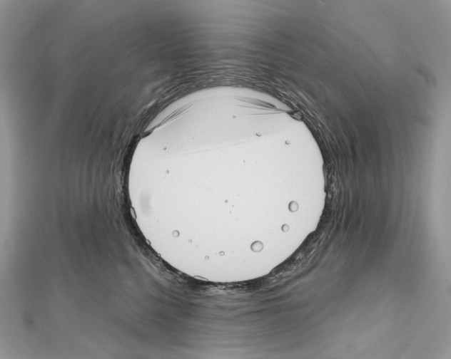 X0000111640568200908281200
