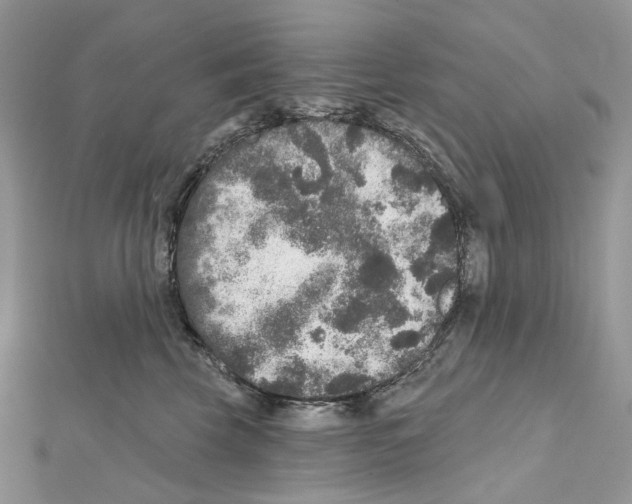 X0000111640569200908281200