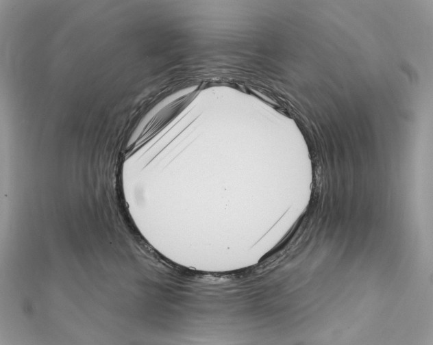 X0000111640570200908281200