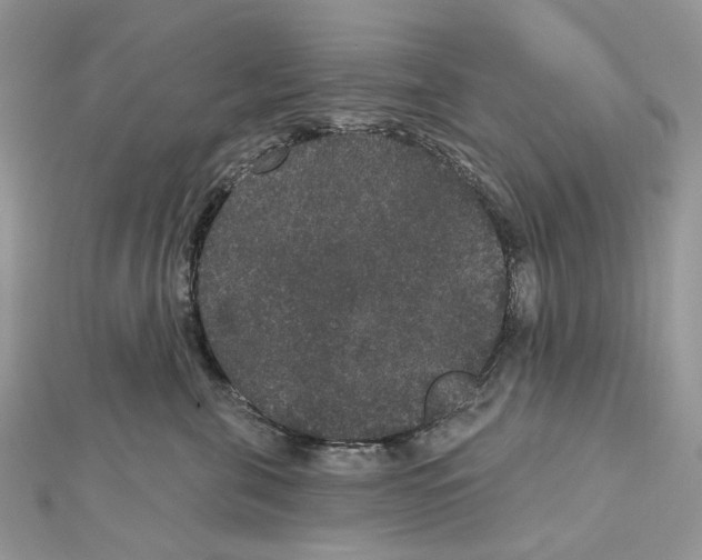 X0000111640571200908281200