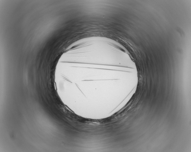 X0000111640572200908281200