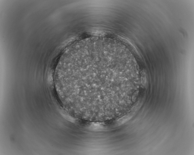 X0000111640573200908281200