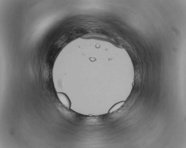 X0000111640574200908281200