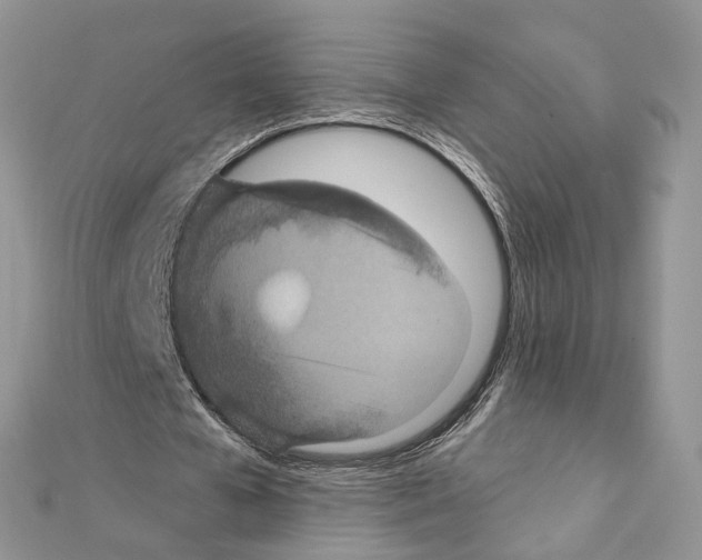 X0000111640577200908281159