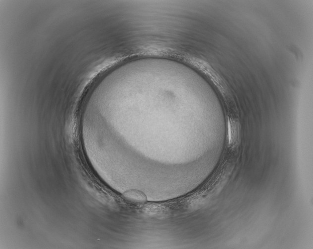 X0000111640579200908281159