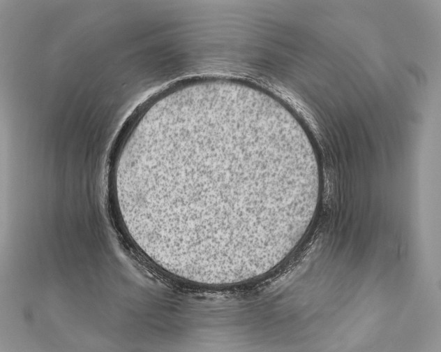 X0000111640580200908281159