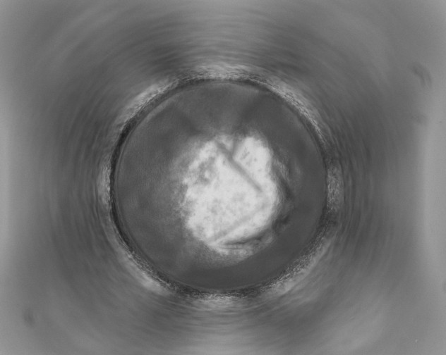 X0000111640581200908281159