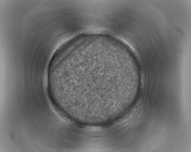 X0000111640582200908281159