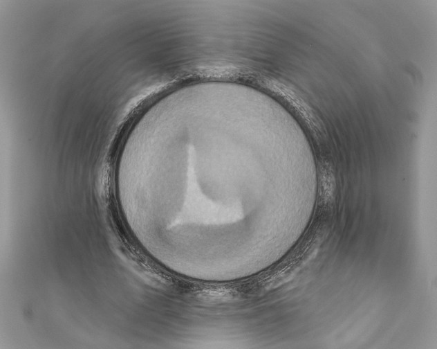 X0000111640583200908281159