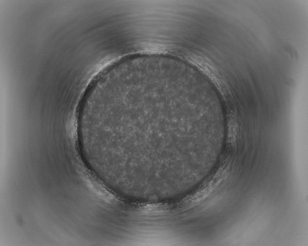 X0000111640584200908281159