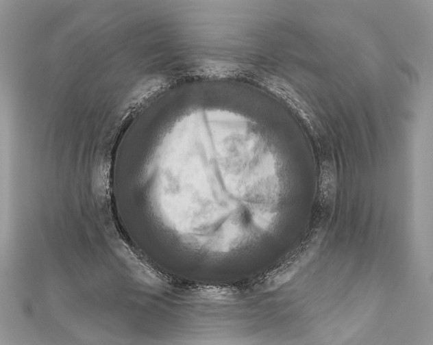 X0000111640585200908281159