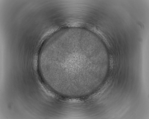 X0000111640586200908281159